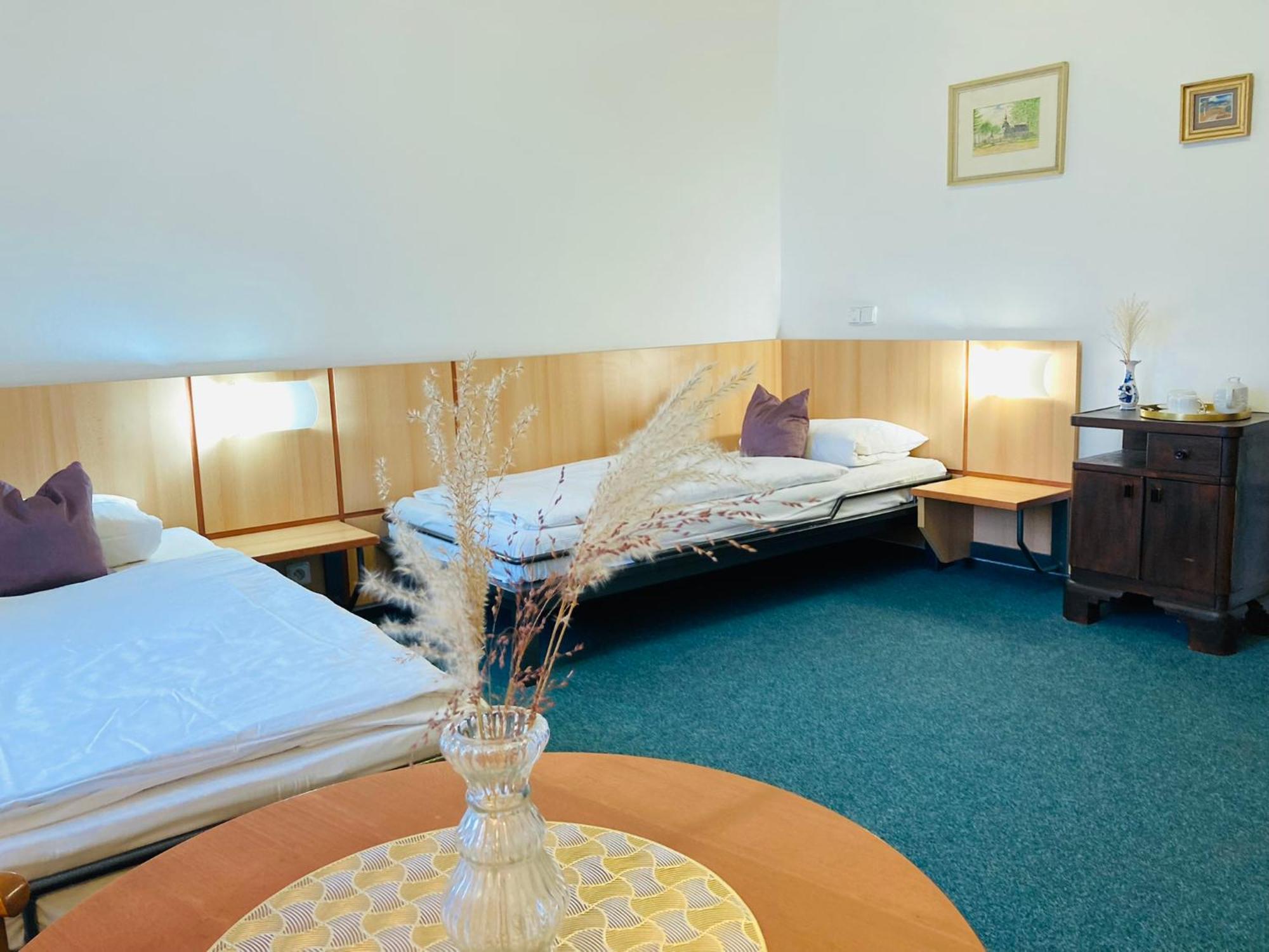 Penzion Hotelu Central Dvůr Králové nad Labem 외부 사진